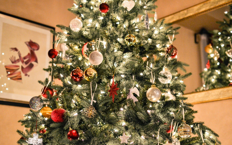 Where To Buy Christmas Trees Wreaths In Around Jersey