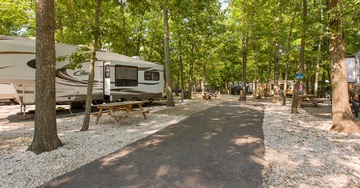 8 Best Places to Go Camping in New Jersey 