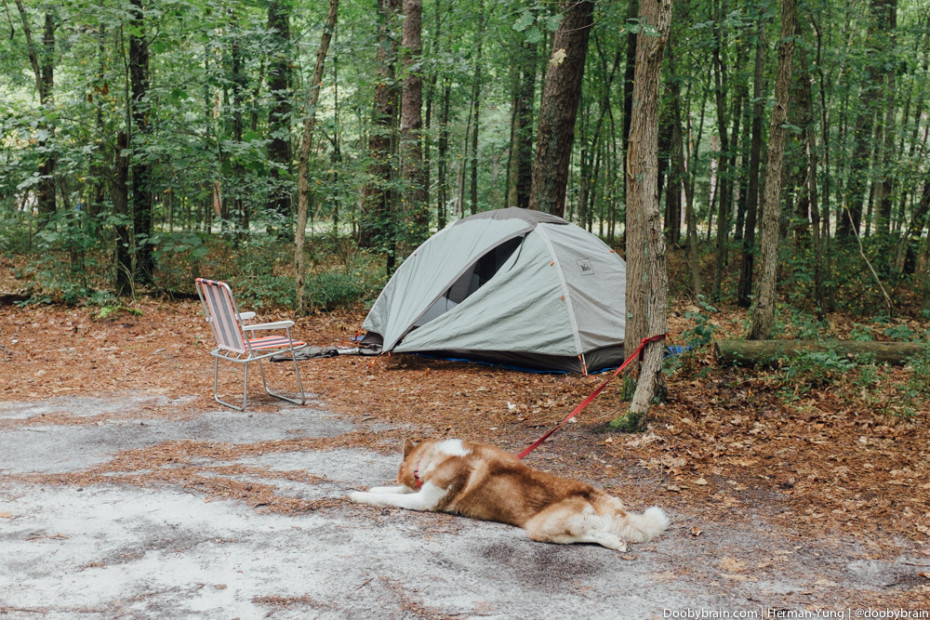 Wharton State Forest Camping 2 930x620