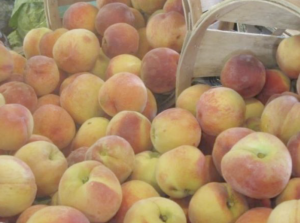Pick your own peace farms around jersey city