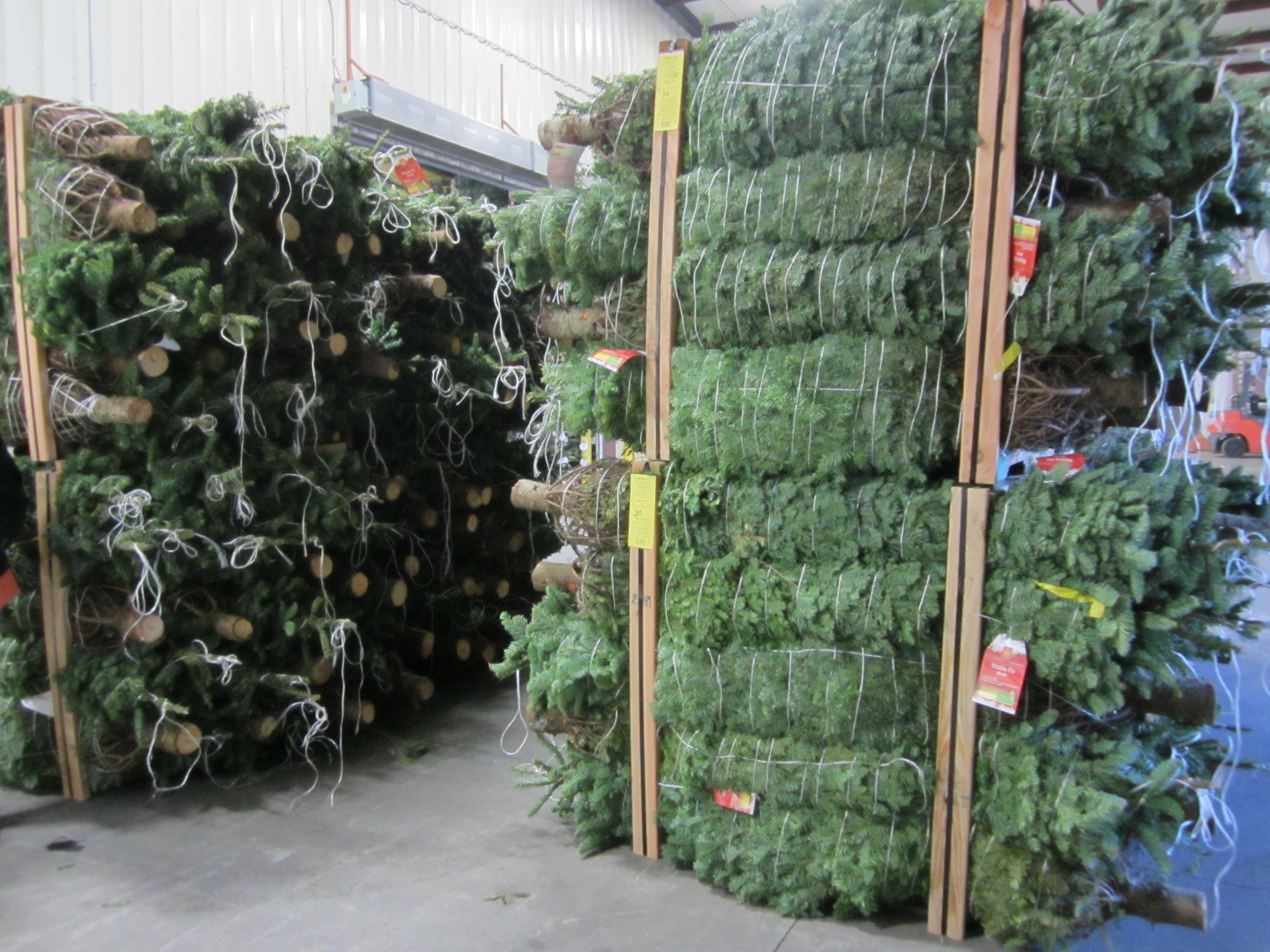 Where to buy Christmas Trees &amp; Wreaths In &amp; Around Jersey City