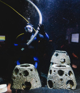 The Best Zoos and Aquariums near Jersey City