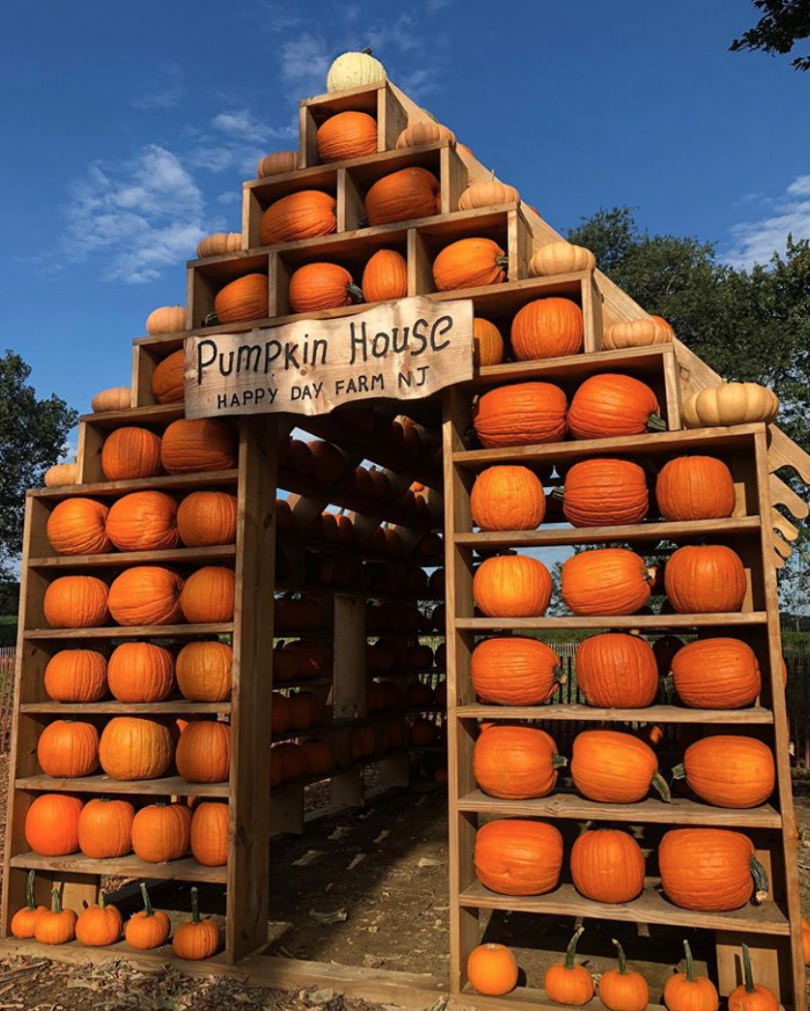 Top 12 Pumpkin Patches Near Jersey City