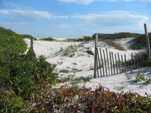 Beaches Opening Near Jersey City