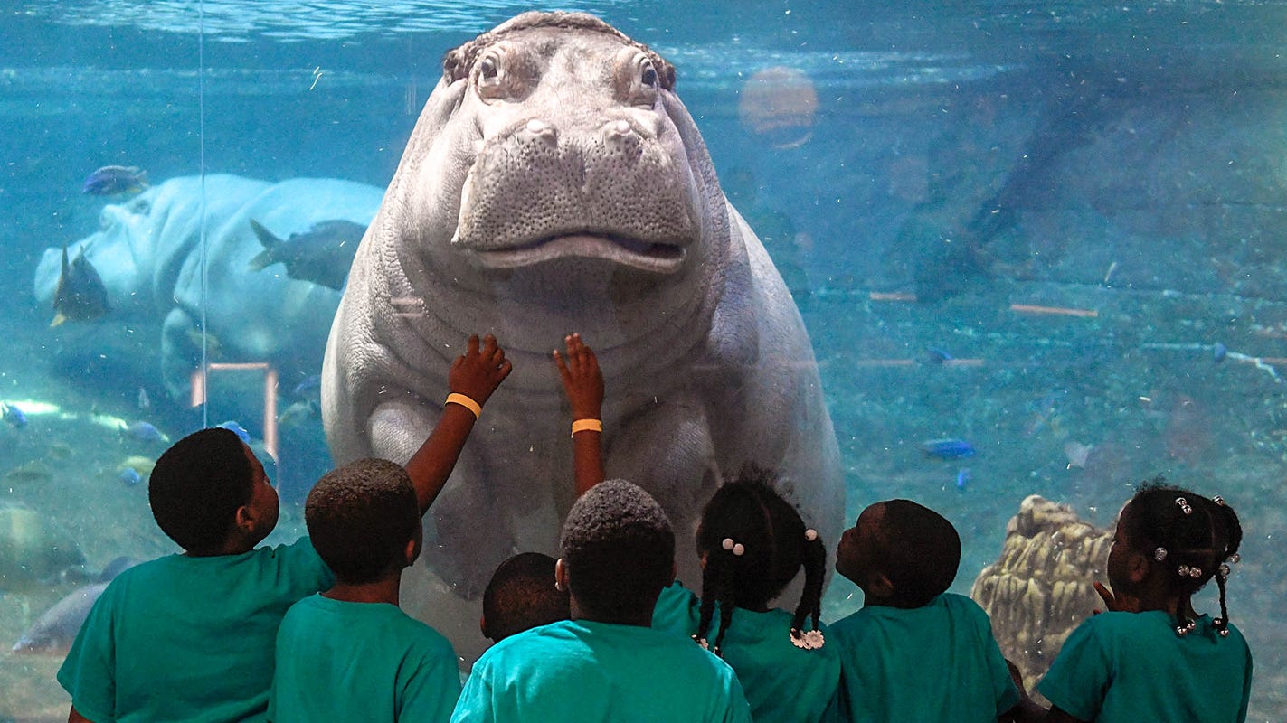 Zoos and Aquariums Now Open Near Jersey City
