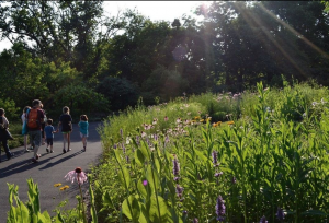 Brooklyn Garden near Jersey City