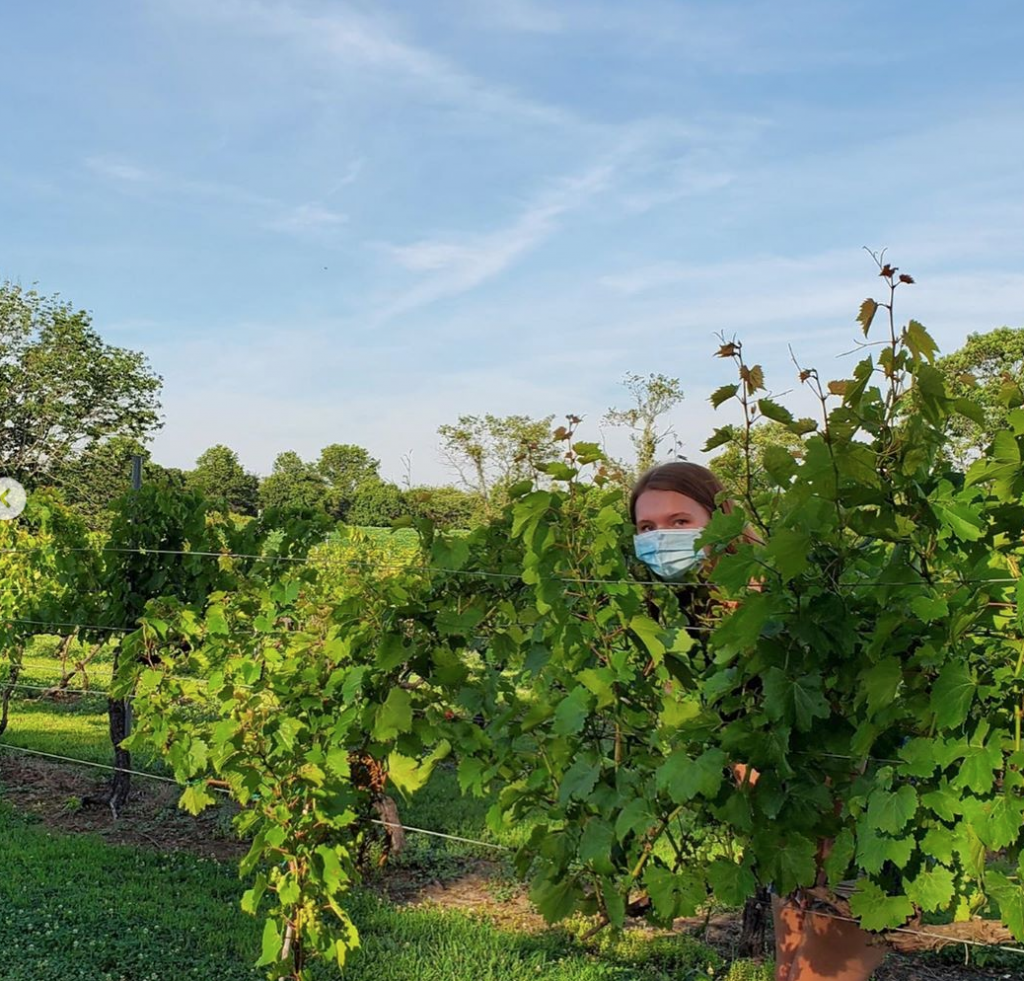 Wineries Near Jersey City 11 wineries to visit JCFamilies