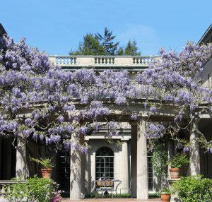 10 Butterfly Gardens to Visit Around Jersey City