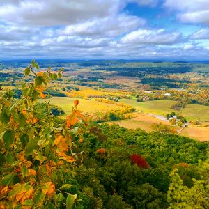 fall foliage activity near Jersey City