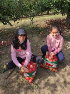 Apple picking Fall activities near Jersey City