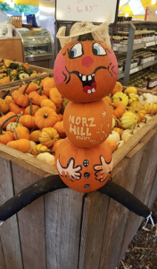 Family Friendly Farms Near Jersey City Norz Farms