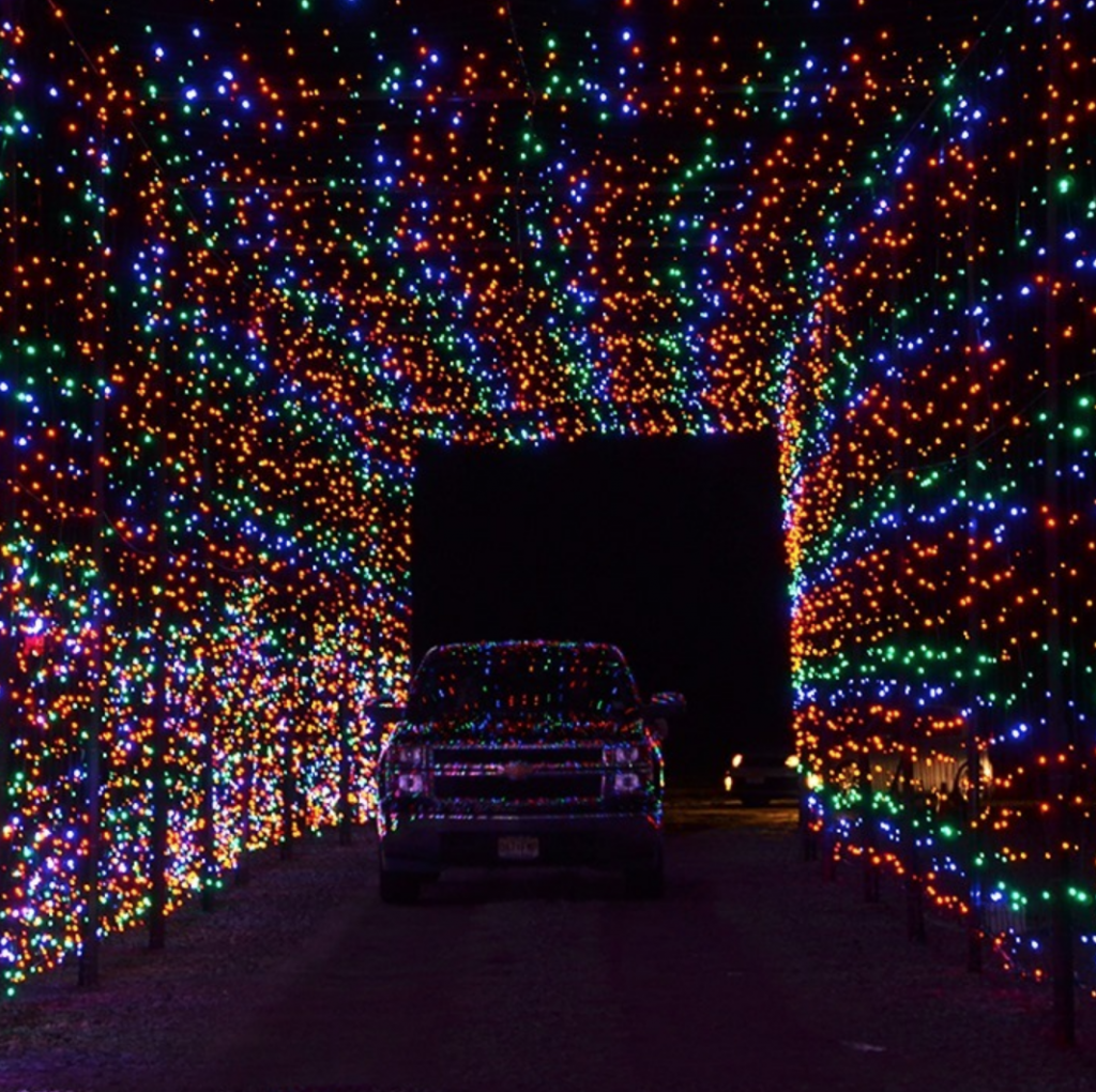 Holiday Lights To See In and Around Jersey City