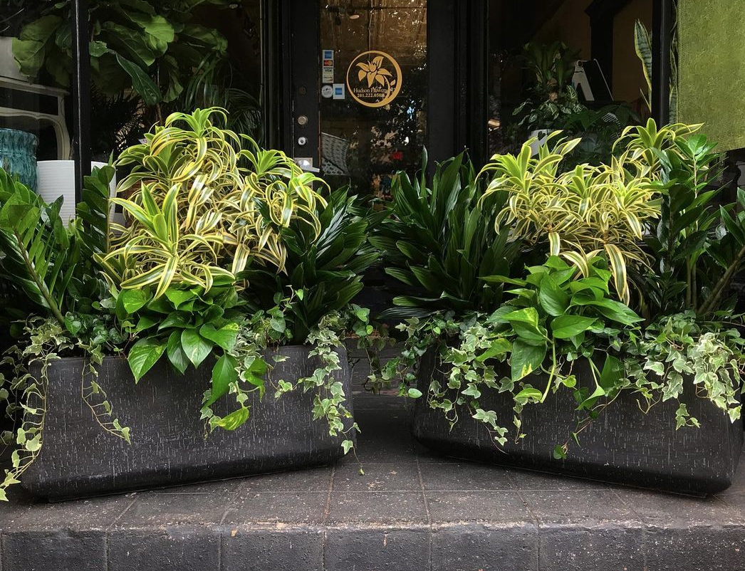 Buying plants/ plant shops in Jersey City Local Businesses JCFamilies