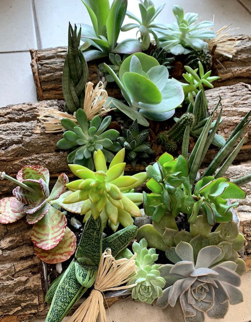 Things to do in West Side Jersey City JCFamilies