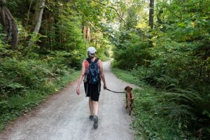 Best trails to outlet walk dogs near me