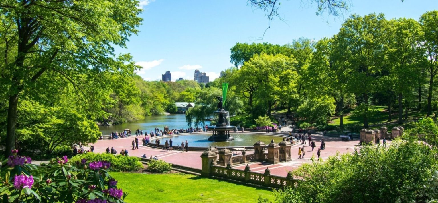 22-must-do-activities-in-nyc