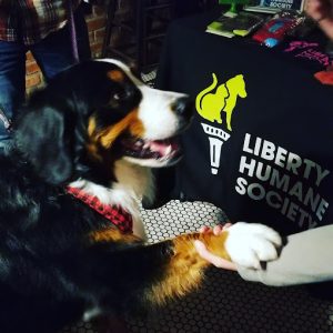 dog friendly bar in hoboken