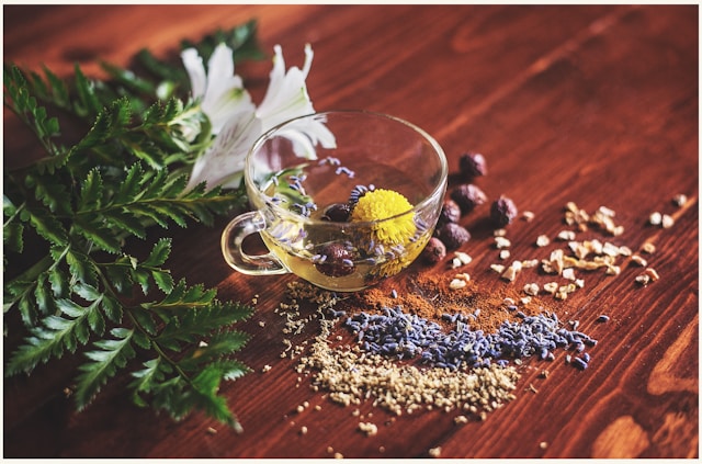 Cup of tea with herbs on a wooden surface