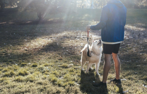 Man with a dog in a park